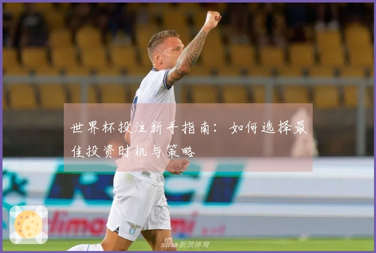世界杯投注新手指南：如何选择最佳投资时机与策略