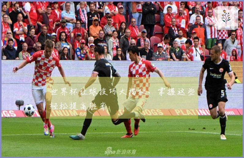 世界杯让球技巧大揭秘，掌握这些轻松提高胜率