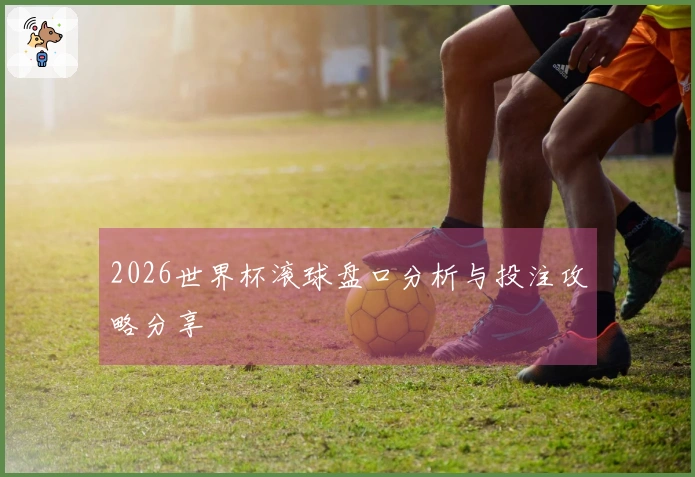 2026世界杯滚球盘口分析与投注攻略分享