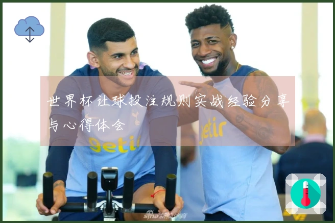 世界杯让球投注规则实战经验分享与心得体会