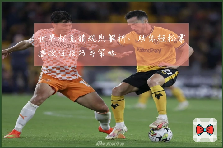 世界杯竞猜规则解析，助你轻松掌握投注技巧与策略