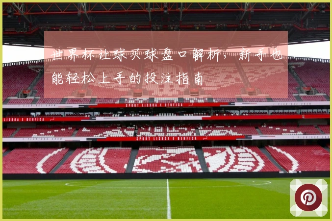 世界杯让球买球盘口解析，新手也能轻松上手的投注指南