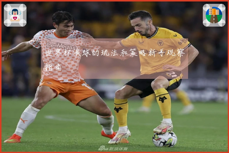 世界杯滚球的玩法和策略新手观察指南