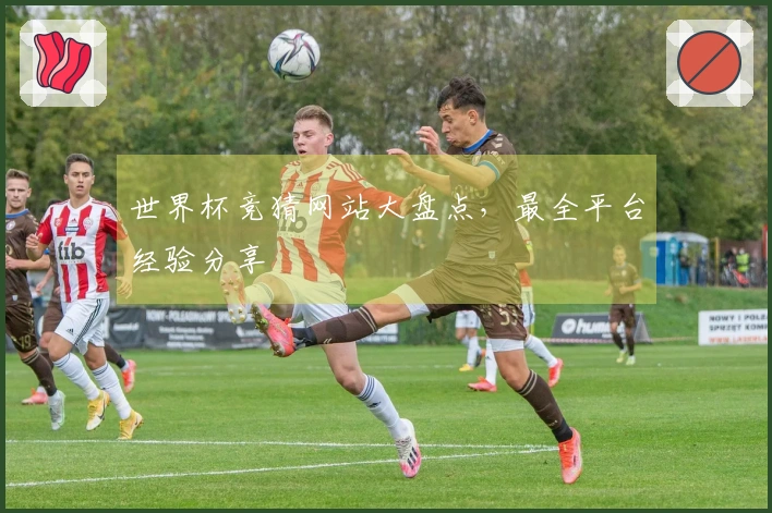 世界杯竞猜网站大盘点，最全平台经验分享