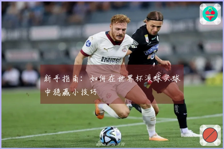 新手指南：如何在世界杯滚球买球中稳赢小技巧