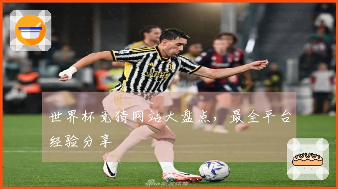 世界杯竞猜网站大盘点，最全平台经验分享
