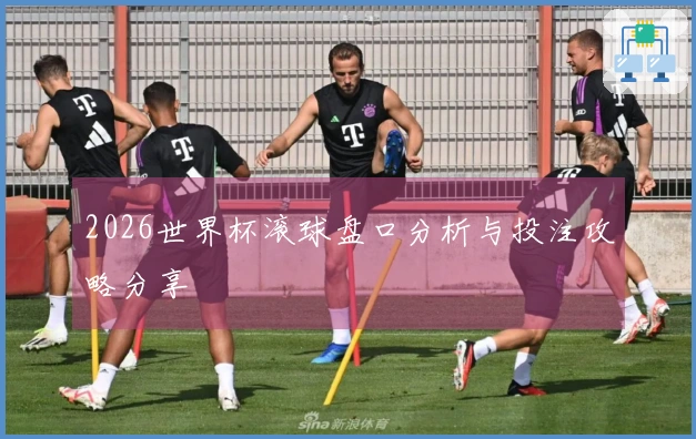 2026世界杯滚球盘口分析与投注攻略分享