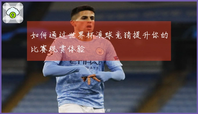 如何通过世界杯滚球竞猜提升你的比赛观赏体验