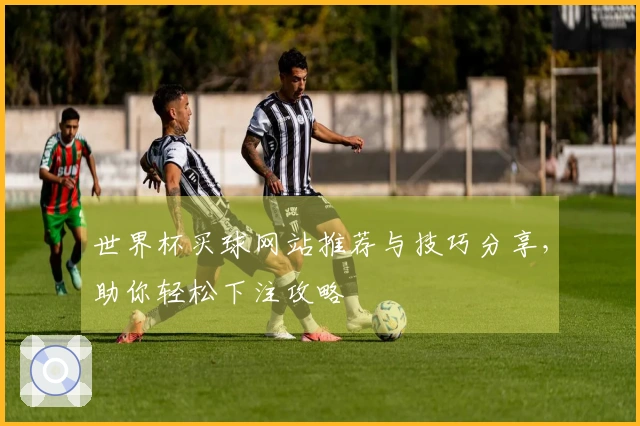 世界杯买球网站推荐与技巧分享，助你轻松下注攻略