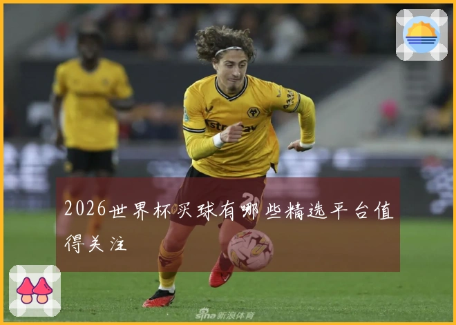 2026世界杯买球有哪些精选平台值得关注