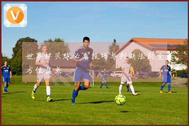 世界杯买球必看技巧与判断法则全方位盘点