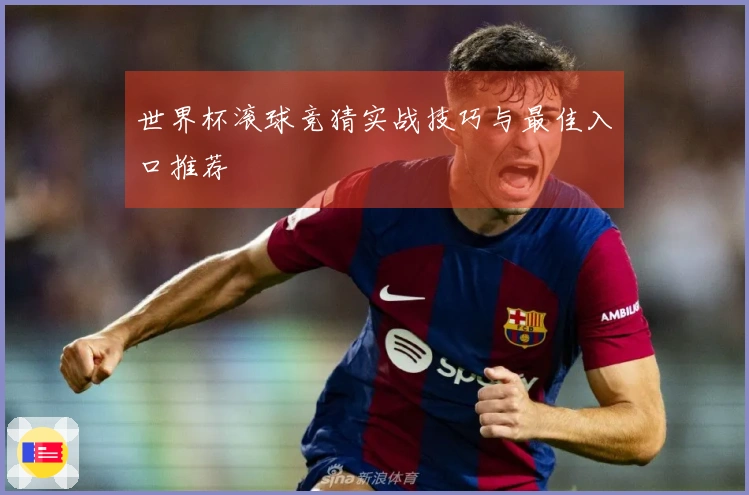世界杯滚球竞猜实战技巧与最佳入口推荐