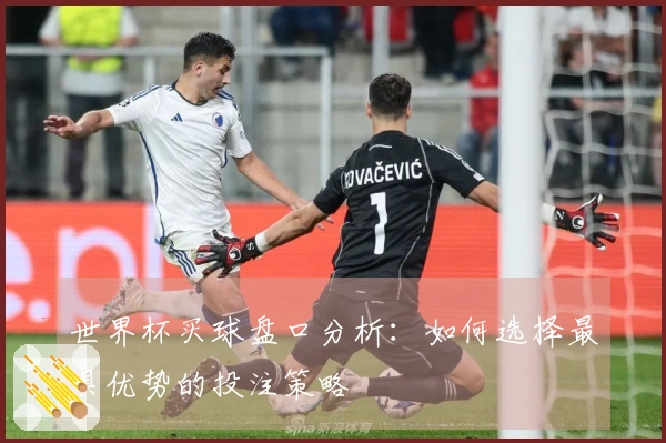 世界杯买球盘口分析：如何选择最具优势的投注策略