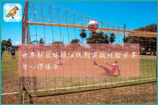 世界杯让球投注规则实战经验分享与心得体会